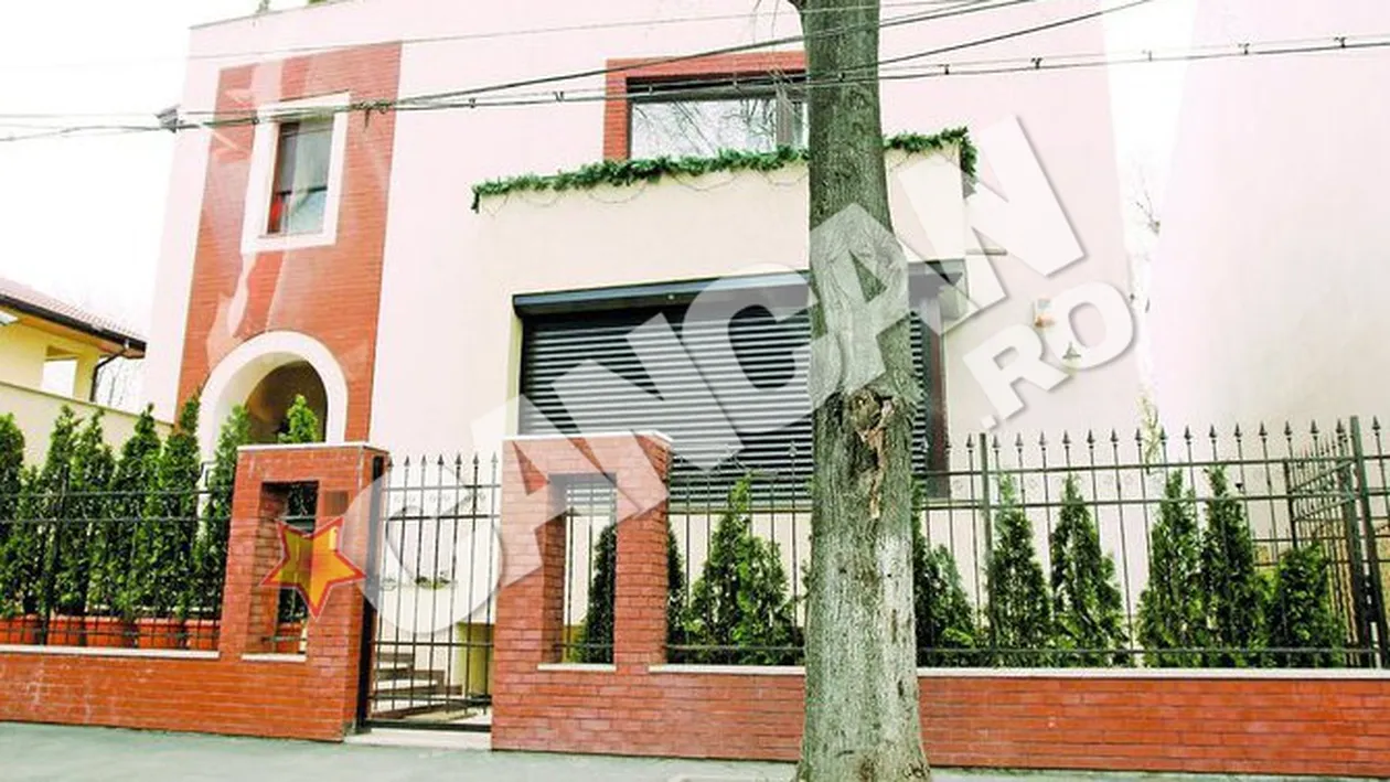 Andreea Marin a scapat de copacul urias care statea sa cada pe casa ei: Era uscat si reprezenta un pericol pentru noi!