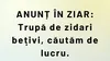 BANC | Anunț la ziar: „Trupă de zidari bețivi, căutăm de lucru”