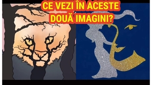 Iluzia optică înnebunitoare care îţi spune dacă eşti deschis la minte sau nu. Ce ţi-a apărut prima dată în minte când te-ai uitat la această poză?