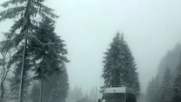 Am trecut la ora de vară dar...la Braşov a venit iarna înapoi! Ninge serios pe drumurile judeţene