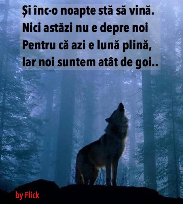 Flick, poezie fabuloasă despre o tânără care s-a îmbogățit din videochat! Fanii Domnului Rimă i-au sărit în cap, iar el le-a răspuns