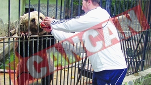 Cel mai batran urs de la Zoo Baneasa a lasat mierea pentru suc
