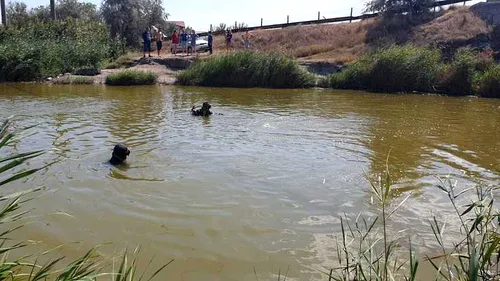 Tragedie la Constanța. Un adolescent s-a înecat în lacul Istria. FOTO & VIDEO
