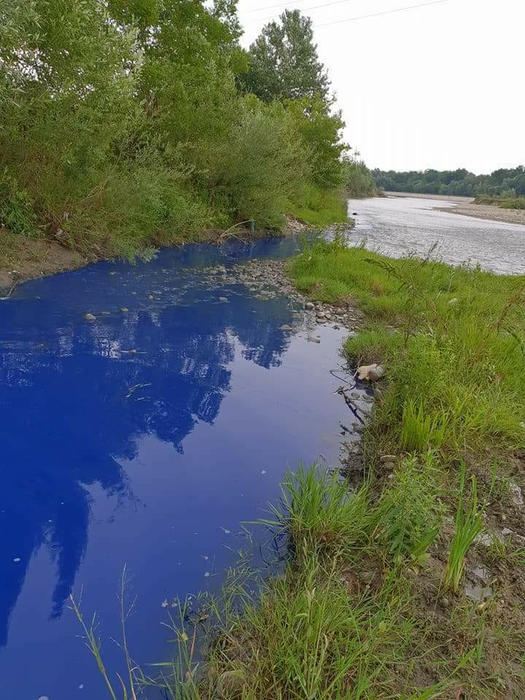 Râul arată de parcă ar fi de cerneală