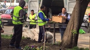 Un altfel de 1 Mai! Au iesit sa planteze flori!