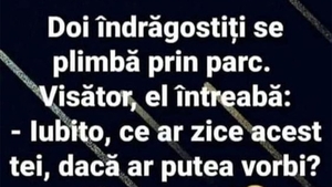 BANC | "Iubito, ce ar zice acest tei dacă ar putea vorbi?"