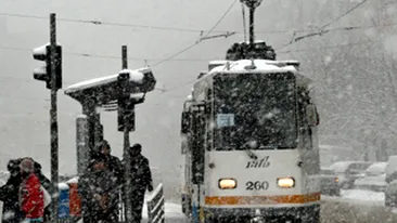 Tramvaiele liniilor 25, 35 si 8 sunt blocate pe Bulevardul Timisoara!
