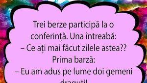 Bancul dimineții | Trei berze participă la o conferință