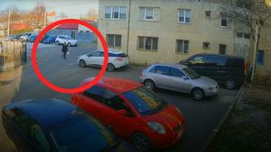 Gestul rușinos făcut de o femeie din Mangalia. A aruncat gunoiul într-o parcare, deși ghena era fix lângă ea