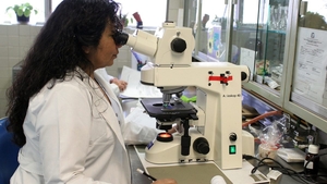 Descoperirea care schimbă tot ce se știa despre COVID-19! Oamenii de știință din Israel au descoperit cauza accidentelor vasculare la pacienții infectați