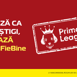 Imagine Galerie #2
