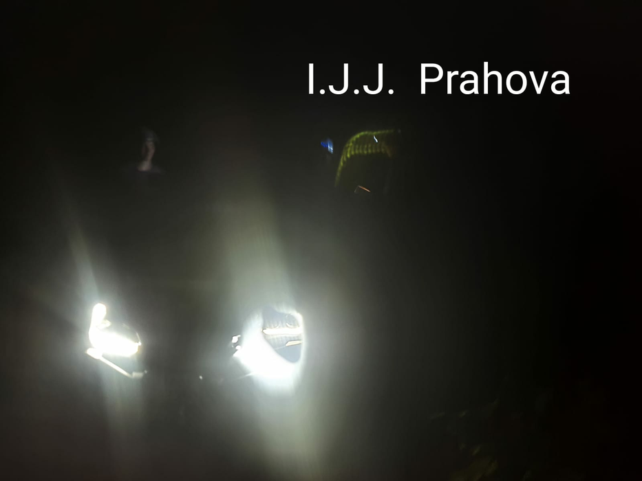Drumeție cu peripeții. Trei tineri au sunat la 112, speriați de o viperă și de urmele unui urs VIDEO
