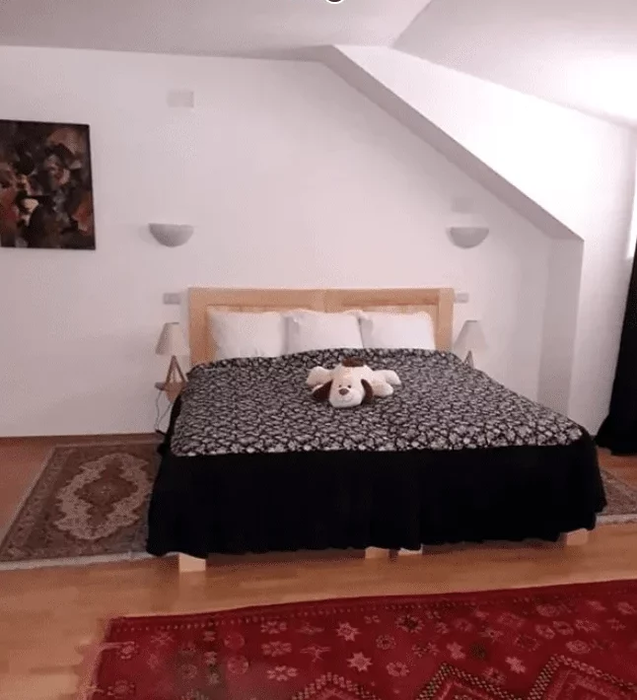 Cum arată pensiunea Monicăi Anghel de la munte? Conacul are 8 camere și te poți caza în el