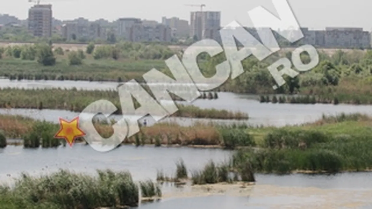 Actiunea de ecologizare a Lacului Vacaresti incepe sambata! Zeci de voluntari participa la evenimentul: Delta Vacaresti, un plaman in Bucuresti