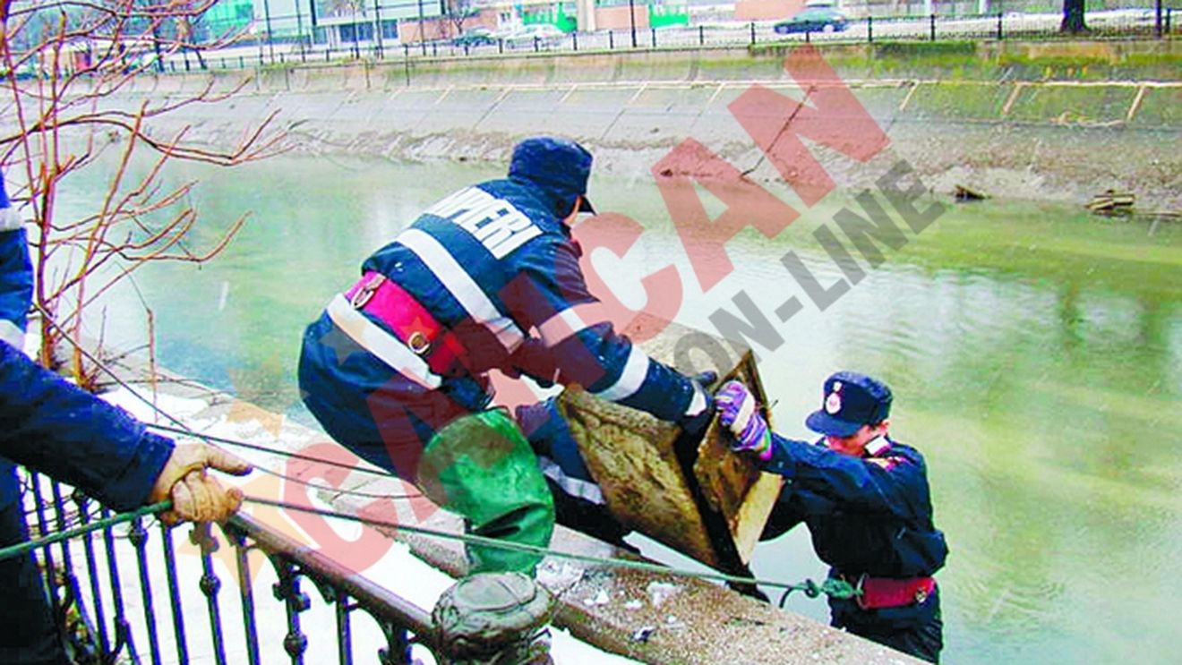 Cultura de seifuri in Dambovita