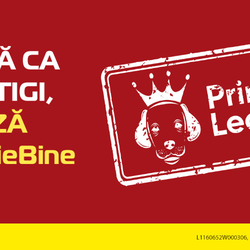 Imagine Galerie #3