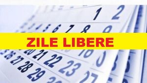 Minivacanța de 1 decembrie 2020 se apropie! Câte zile libere vom avea în acest an!