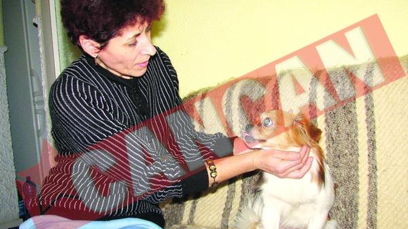 Un pechinez i-a salvat viata stapanei