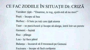 Bancul sfârșitul de săptămână | Ce fac cele 12 zodii în situații de criză