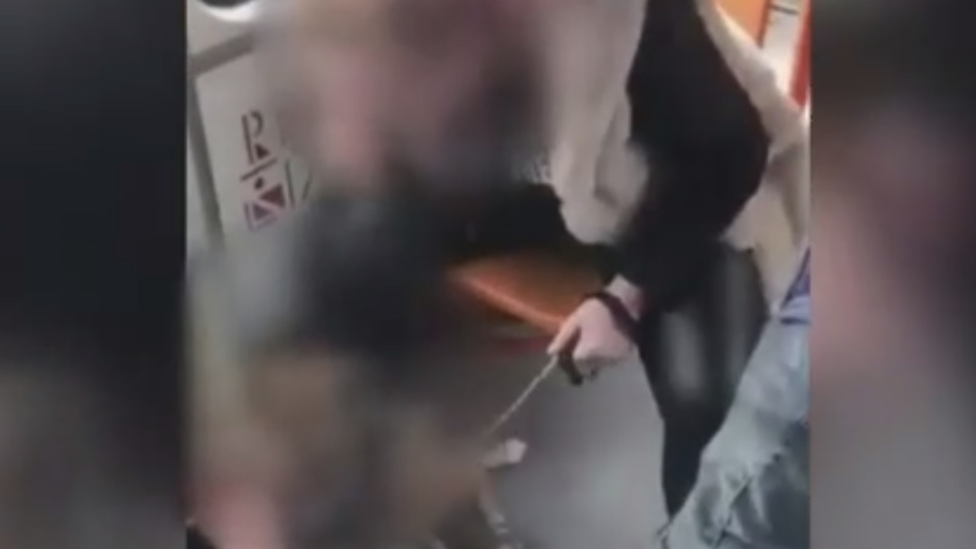 Imagini uluitoare într-un tramvai din Capitală. O tânără a fost filmată în timp ce-și lovea cu brutalitate câinele