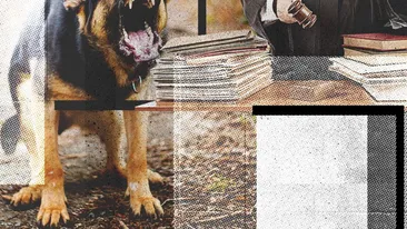 Proprietarul unor câini de vânătoare, condamnat la închisoare cu executare după ce haita a ”mutilat” un pensionar! Judecătorii au scris în motivare că…