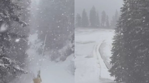 Locul din România unde a nins ca în poveşti. Iarnă la mijloc de martie. VIDEO