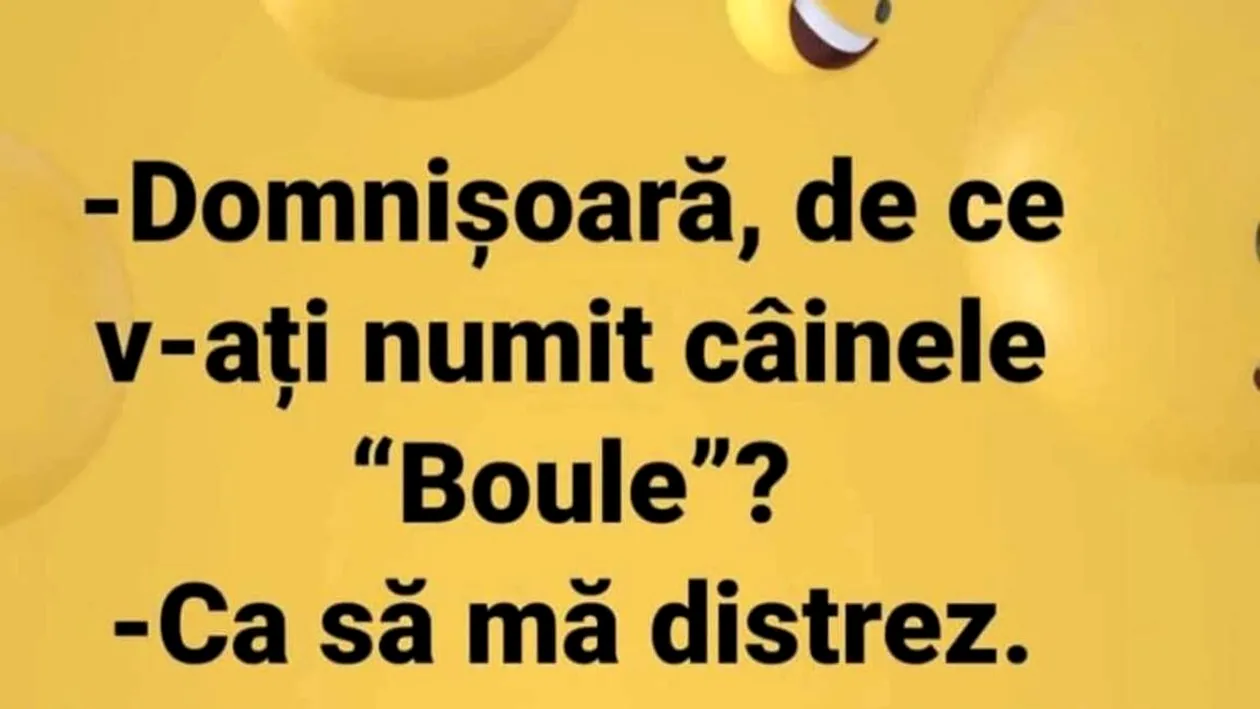 BANC | ”Domnișoară, de ce v-ați numit câinele ”boule”?”