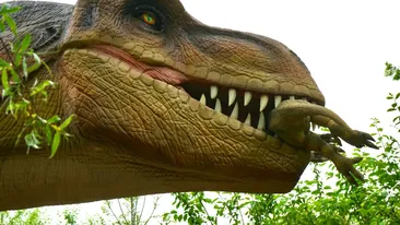Tyrannosaurus rex avea pene? Descoperirile din China care au schimbat imaginea „reptilei perfecte”