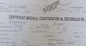 Galerie foto - poza 1