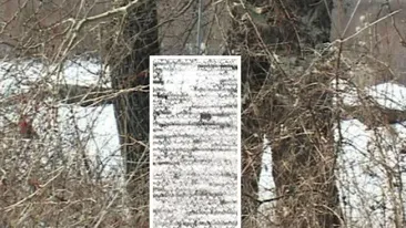 Un adolescent din Dâmbovița, găsit spânzurat în pădure! Detalii cutremurătoare