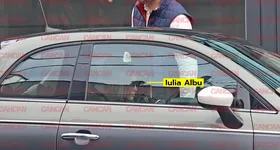 Galerie foto - poza 2