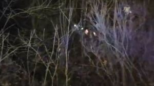 Un adolescent din Iaşi s-a urcat într-un copac şi s-a spânzurat cu şireturile de la bocanci sub ochii medicilor! Detalii înfiorătoare