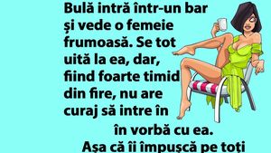 BANC | Bulă intră într-un bar și vede o femeie frumoasă