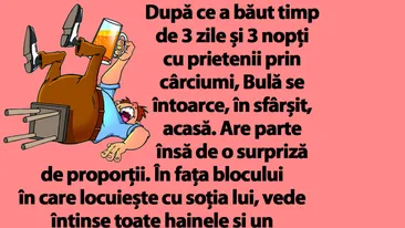 BANC | După ce a băut 3 zile cu prietenii, Bulă se întoarce acasă