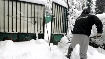 Ce amendă primesc românii care locuiesc la casă și nu deszăpezesc trotuarul. Suma nu este mică deloc