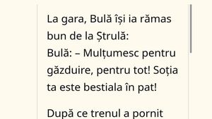 BANC | Bulă își ia rămas bun de la Ștrulă: "Mulțumesc! Soția ta e bestială în pat!"