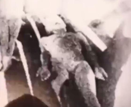 Imaginile datează din 1947