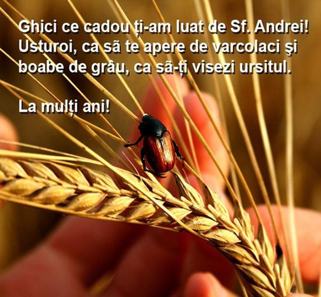 Sfântul Andrei 2021. Mesaje, urări, sms-uri, felicitări. Care sunt prenumele sărbătorite pe 30 noiembrie