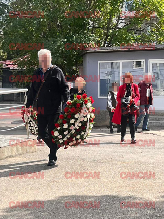 Cum arată locul de veci al Marinelei Chelaru. Actrița va fi înmormântată alături de părinții ei