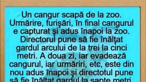 BANCUL ZILEI | Un cangur scapă de la zoo