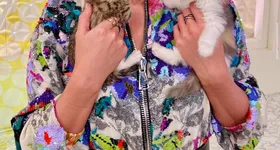 Galerie foto - poza 2