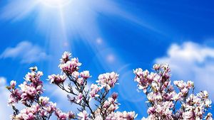 Prognoza meteo aprilie 2021. Cum va fi vremea de Florii