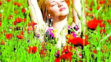 Sexy-penelista, pictorial in lanul de maci