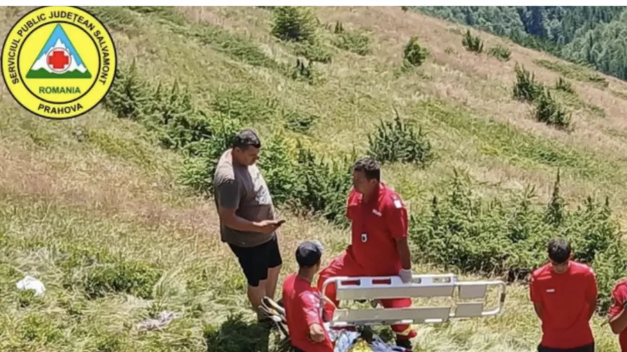 Tragedie în Munții Grohotiș! Un bărbat de 69 de ani a murit în timp ce culegea afine