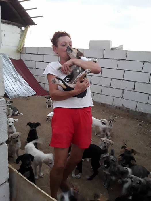 Daniela a devenit "mama câinilor" și în Italia, nu doar în România