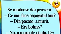 BANC | Ce mai face papagalul tău?