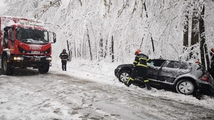 Cod portocaliu în Argeș: copac doborât și autoturisme în șanț!