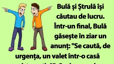 BANC | Bulă și Ștrulă își căutau de lucru