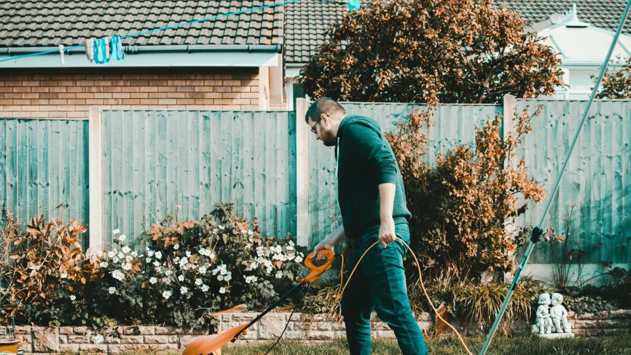 Legea pe care toți românii care locuiesc la curte trebuie să o respecte sau primesc amendă