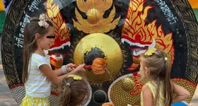 Galerie foto - poza 4